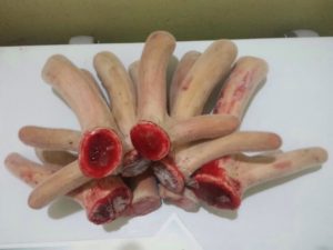 nhung hươu là gì