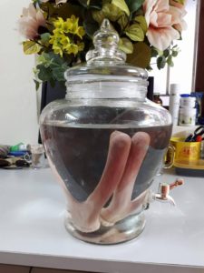 công dụng của rượu nhung hươu hương sơn công dụng của rượu nhung hươu hương sơn