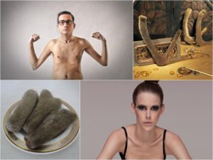 ăn nhung hươu có béo không