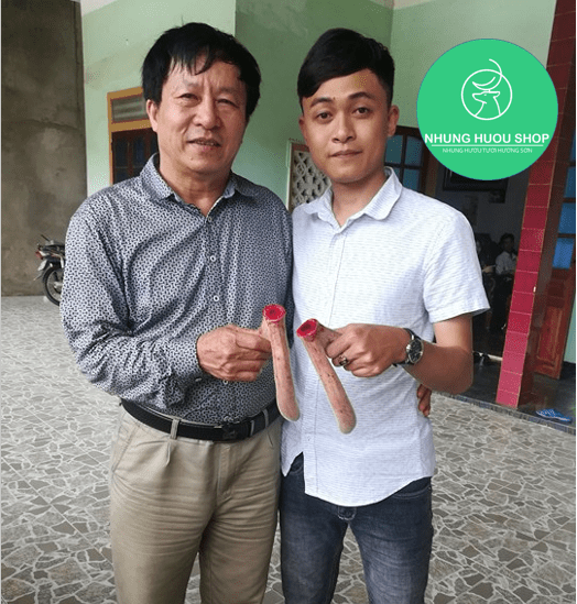 công dụng của nhung hươu tươi