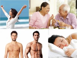 ăn nhung hươu có béo không