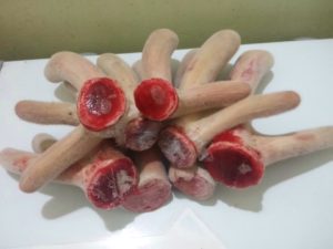 giá nhung hươu tươi hương sơn