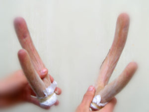 giá nhung hươu tươi hương sơn