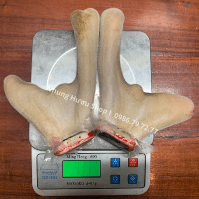 nhung hươu hương sơn