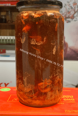 nhung hươu ngâm mật ong