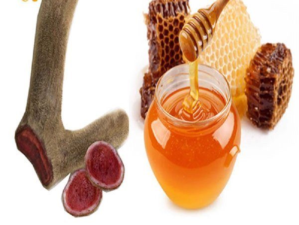 nhung hươu ngâm mật ong thì để được bao lâu