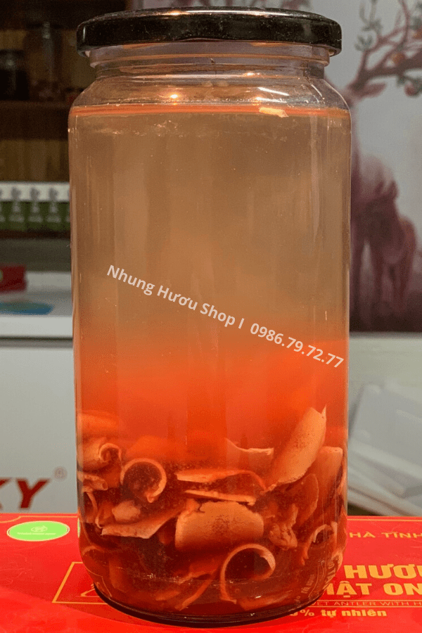 nhung hươu ngâm rượu