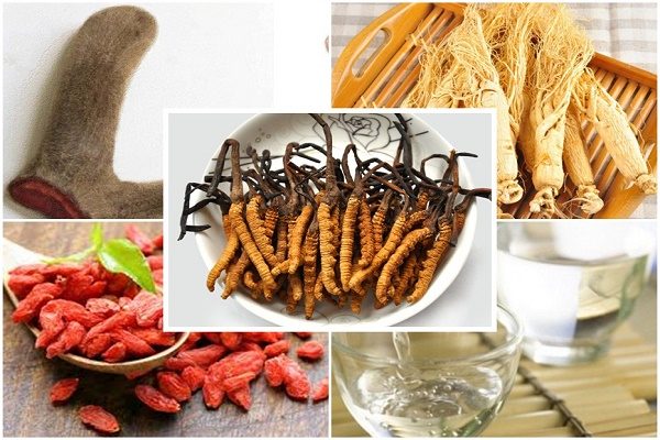 nhung hươu ngâm rượu với sâm