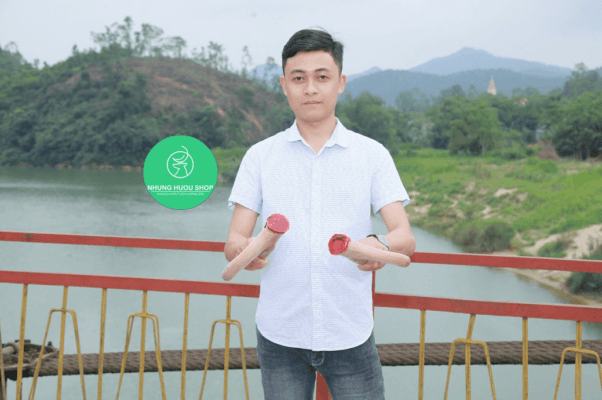nhung hươu tươi