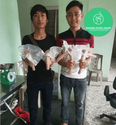 nhung hươu tươi hương sơn