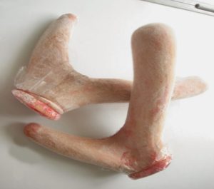 nhung hươu bao nhiêu tiền 1 lạng