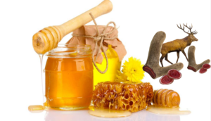 nhung hươu làm gì tốt nhất