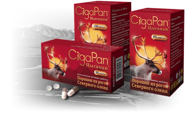 nhung hươu cigapan có tốt không