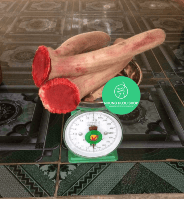 nhung hươu giúp tăng cân an toàn