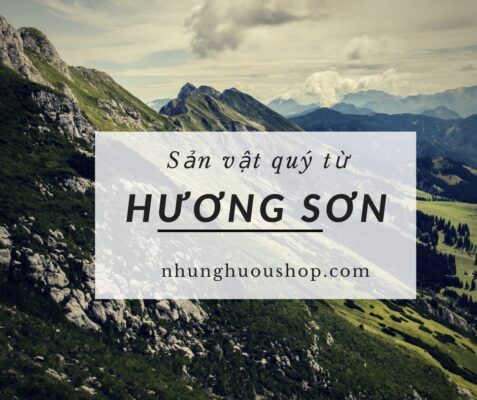 đặc sản núi rừng hương sơn