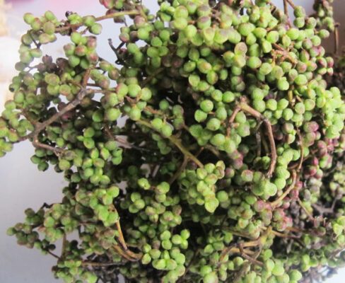 mắc khén hạt dổi