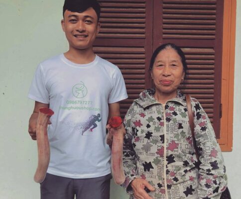 hình ảnh nhung hươu hương sơn