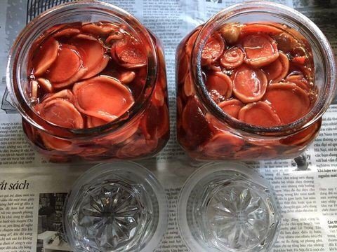 nhung hươu tươi ngâm rượu