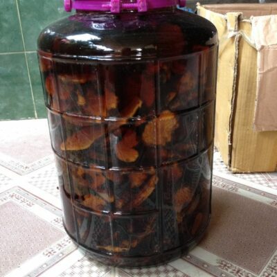 rượu nấm ngọc cẩu