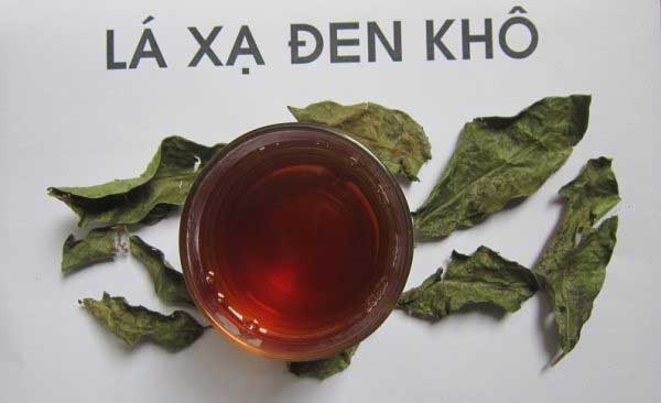 bài thuốc từ lá cây xạ đen