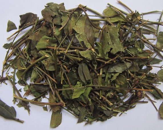 chè vằng hương sơn