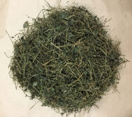 giảo cổ lam khô