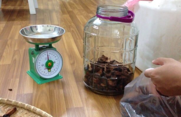 hà thủ ô ngâm rươu