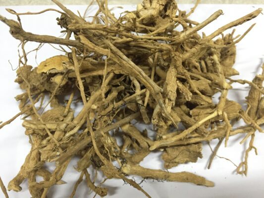 rễ cà gai leo khô