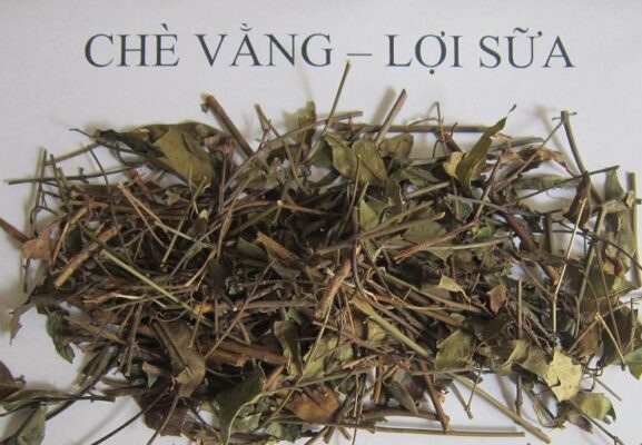 tác dụng của chè vằng