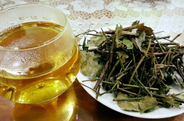 tác dụng của chè vằng