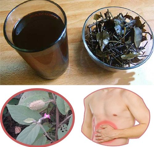 tác dụng của cây an xoa