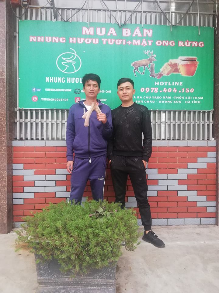 nhung hươu shop nhung hươu hương sơn