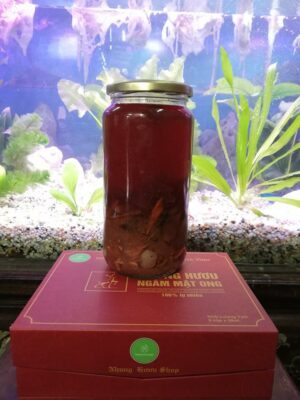 nhung hươu ngâm rượu