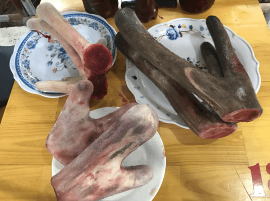 nhung hươu thật giả