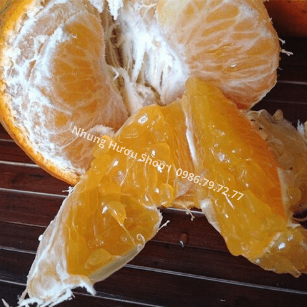 cam bù hương sơn