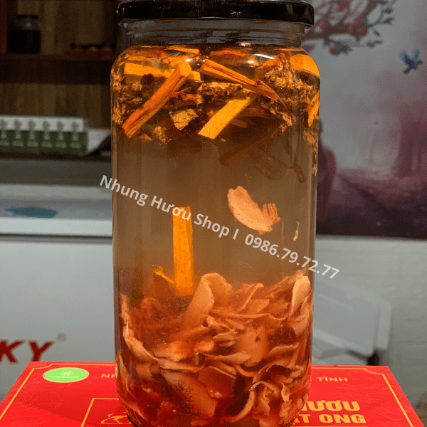 nhung hươu ngâm bài thuốc