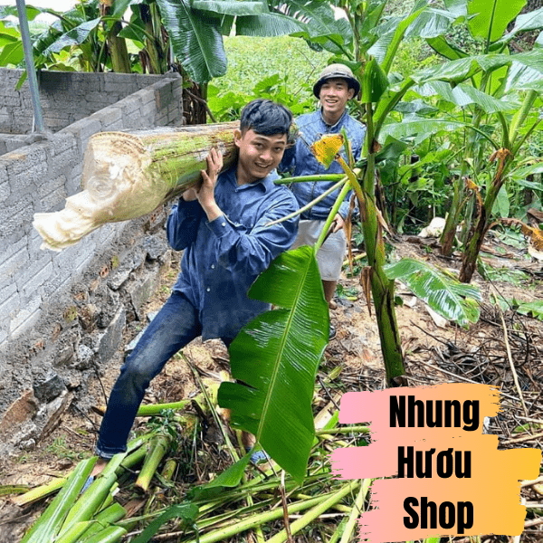 cử nhân hóa dược nguyễn văn hùng