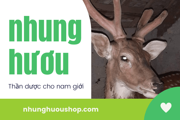 nhung hươu