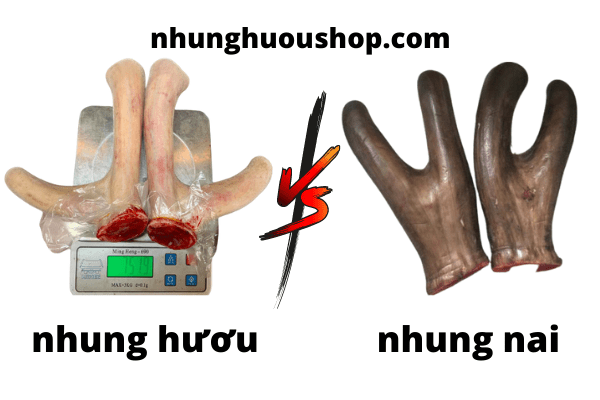 nhung hươu nhung nai