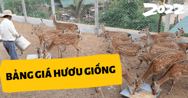 bảng giá hươu giống 2022