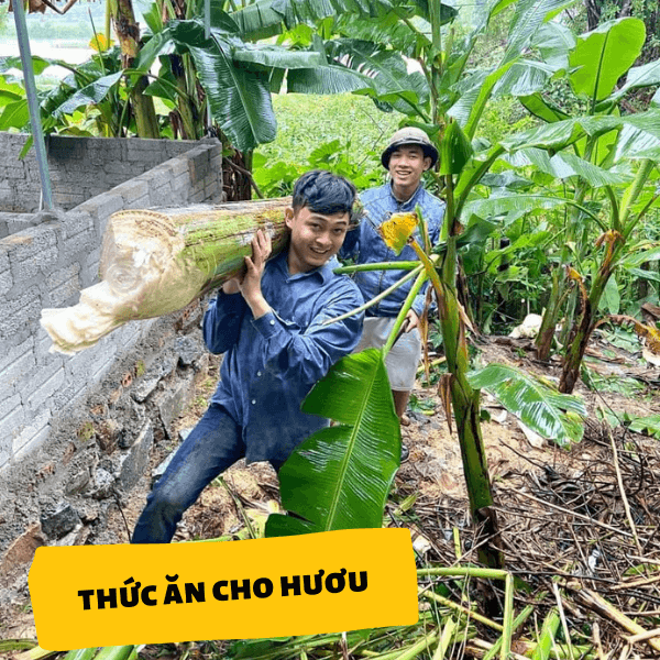 thức ăn cho hươu